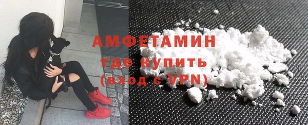 ГАЛЛЮЦИНОГЕННЫЕ ГРИБЫ Апатиты