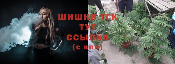 индика Навашино